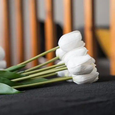 Guestready - Ria Reflection Aveiro