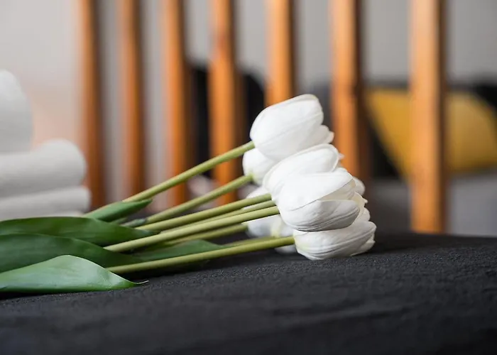 Guestready - Ria Reflection Aveiro